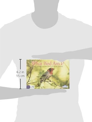 WHAT BIRD AM I? THE BIRD IDENTIFICATION GAME - OUTSET MEDIA