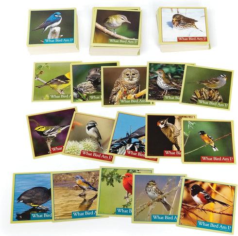 WHAT BIRD AM I? THE BIRD IDENTIFICATION GAME - OUTSET MEDIA