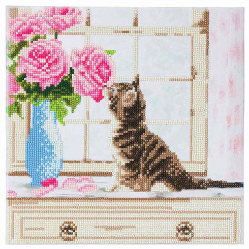 CAT MEDIUM CRYSTAL ART MOUNTED KIT (11.8" X 11.8")