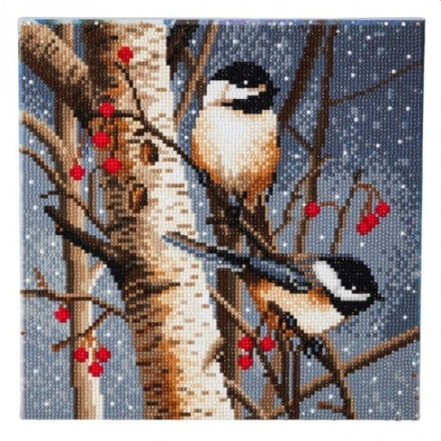WOODLAND SPRITES MEDIUM CRYSTAL ART MOUNTED KIT (11.8" X 11.8")