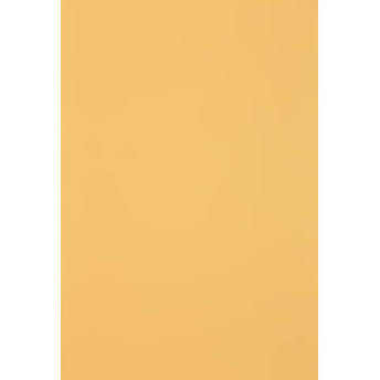 Buff 22X28 Heavy Posterboard