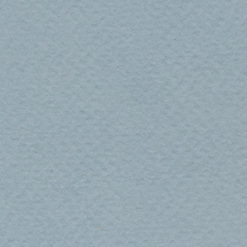 Wedgwood Blue 19X25 98# Bee