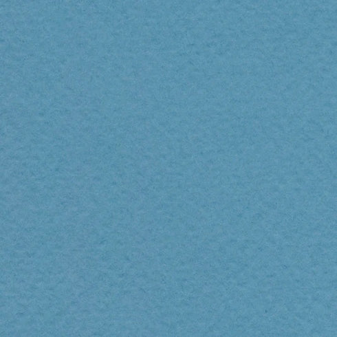 Cornflower Blue 19X25 98# Bee