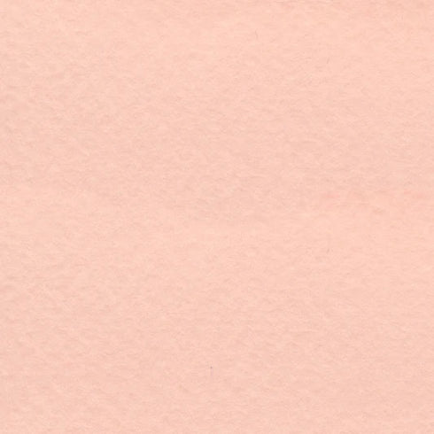 PALE PEACH 19X25 98# BEE