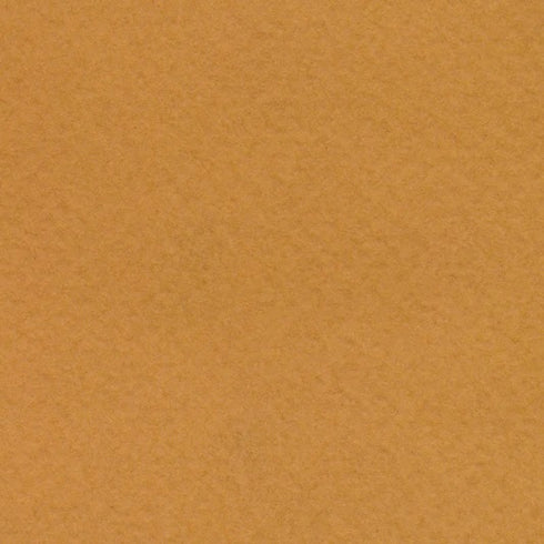 RAW SIENNA 19X25 98# BEE