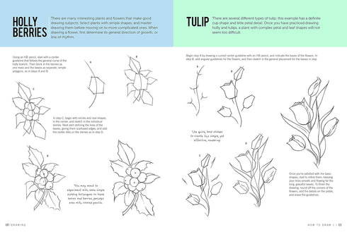 HOW TO DRAW 1 DRAWING HOW TO BOOK