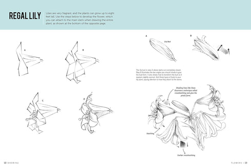 DRAWING FLOWERS DRAWING HOW TO BOOK