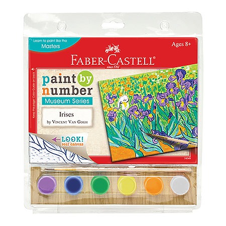 PAINT BY NUMBER IRISES