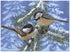 PINE BIRDS PAINT BY NUMBER