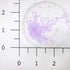 Purple Mineral Glitter