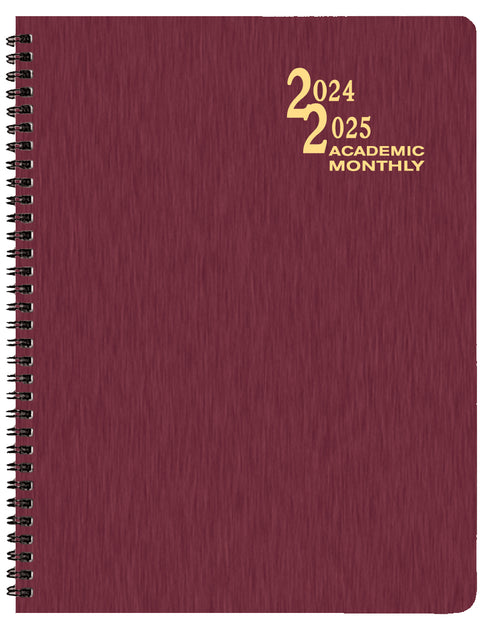 24-25 17 MONTH SHIMMER