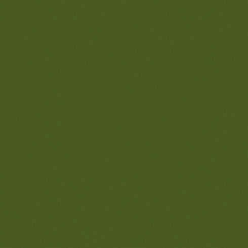 12X12 HOLIDAY GREEN CARDSTOCK PAPER