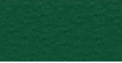 8.5X11 CLASSIC GREEN CARDSTOCK PAPER