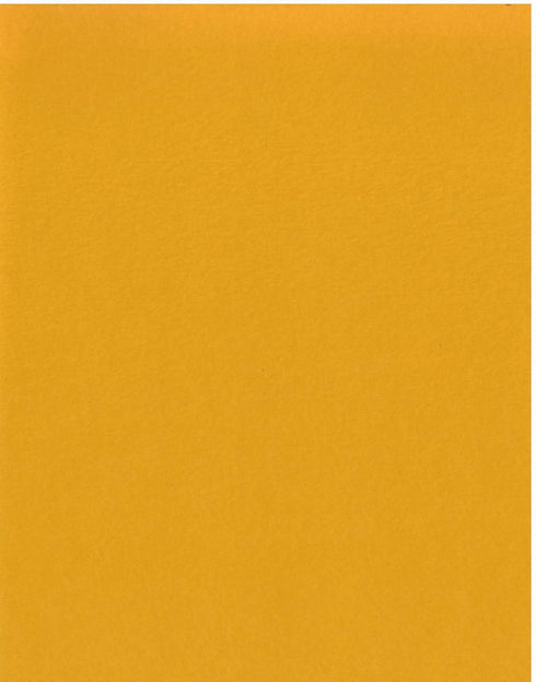 8.5X11 GOLD COINS CARDSTOCK PAPER
