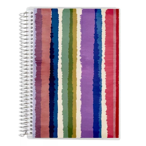 BUDGET BOOK FLUID STRIPES