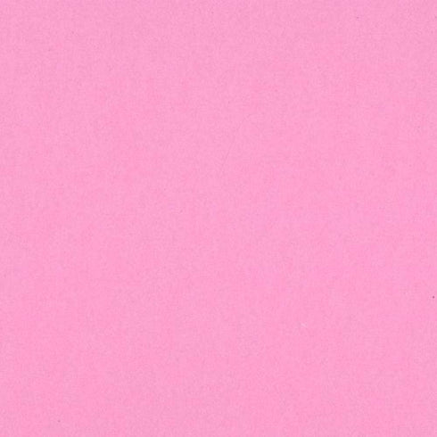 12X12 GUAVA CARDSTOCK