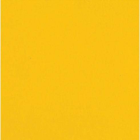 12X12 PINEAPPLE CARDSTOCK