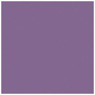 12X12 GRAPE DELIGHT CARDSTOCK