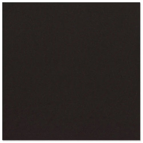12X12 BLACKBERRY CARDSTOCK