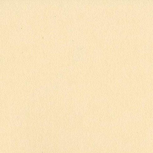 12X12 PIGMENT CARDSTOCK