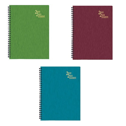 25-26 ACADEMIC PLANNER SHIMMER - (1 ITEM – RANDOM COLOR)