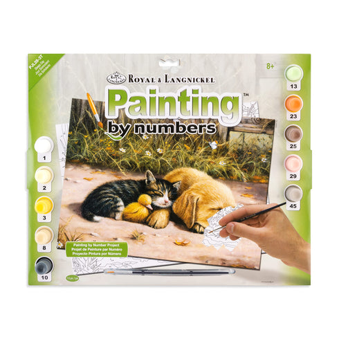 SLEEPY DAY PAINT BY NUMBER