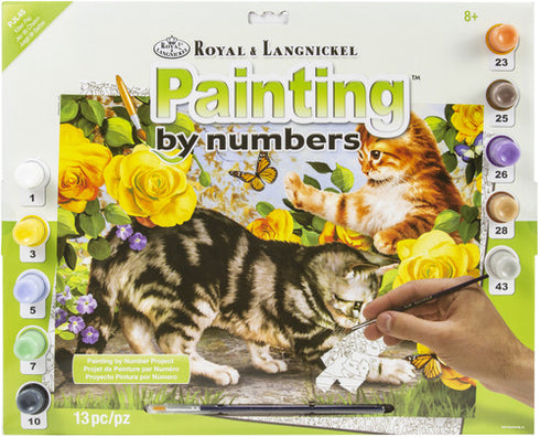 KITTEN PLAY PAINT BY NUMBER
