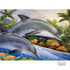 Dolphin Island Paint By Number