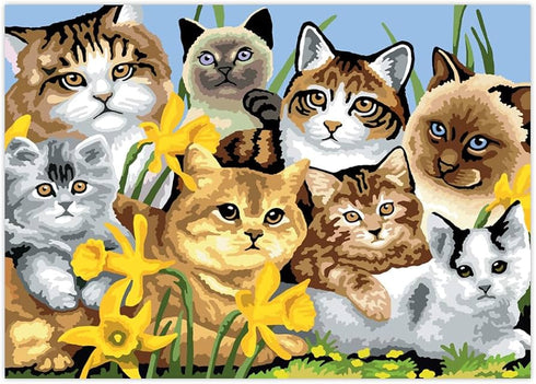 CATS MONTAGE PAINT BY NUMBER