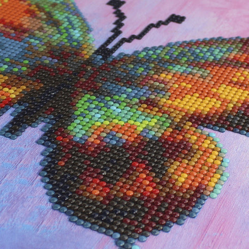 PRETTY BUTTERFLY DIAMOND ART