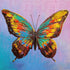 PRETTY BUTTERFLY DIAMOND ART