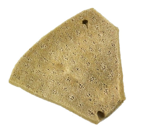 ELEPHANT EAR SPONGE 3IN