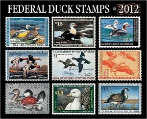 CALENDAR FEDERAL DUCK STAMPS