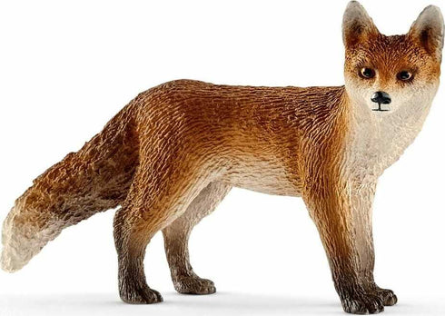 FOX