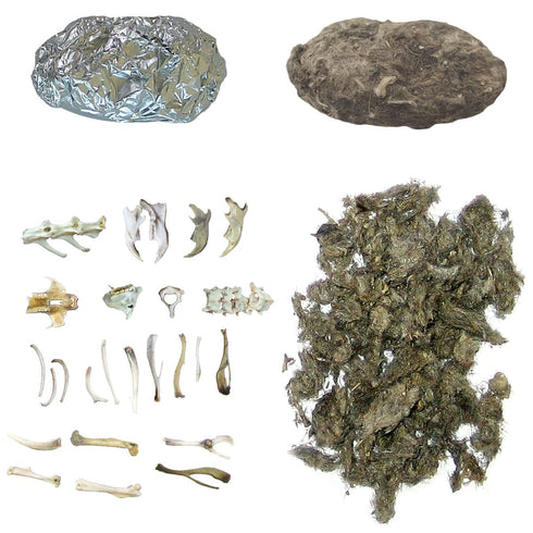 OWL PELLETS KIT