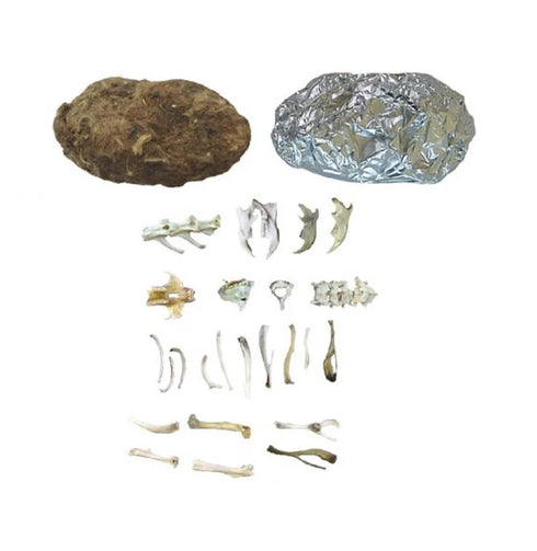 OWL PELLETS KIT
