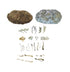 OWL PELLETS KIT