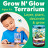 GROW GLOW TERRARIUM KIT