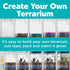 GROW GLOW TERRARIUM KIT