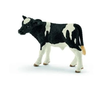 HOLSTEIN CALF