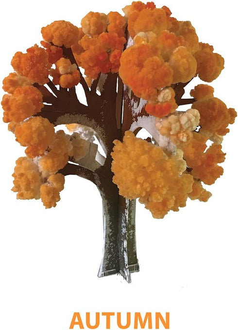 CRYSTAL GROWING: SEASONS KIT