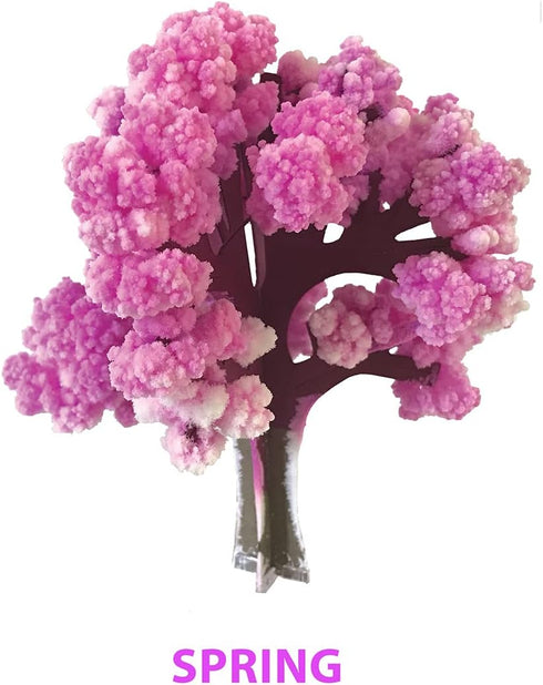 CRYSTAL GROWING: SEASONS KIT