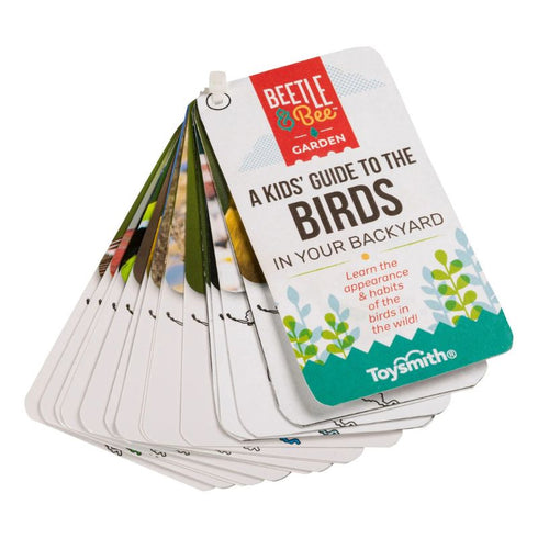 BEETLE & BEE GARDEN LITTLE BIRDER SET