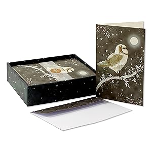 STARRY OWL HOLIDAY CARDS