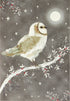 STARRY OWL HOLIDAY CARDS