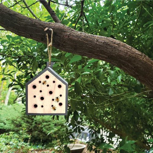 Little Bee House - Save the Bees!