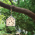 LITTLE BEE HOUSE - SAVE THE BEES!