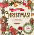 MERRY & BRIGHT CHRISTMAS A FESTIVE STICKER BOOK - PETER PAUPER PRESS