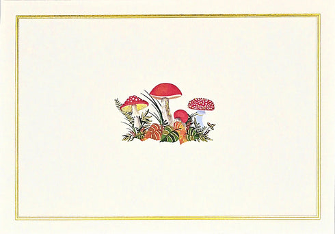 MUSHROOM BOXED NOTE CARDS