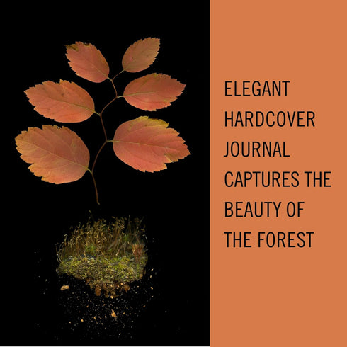 DEEP DARK FOREST JOURNAL